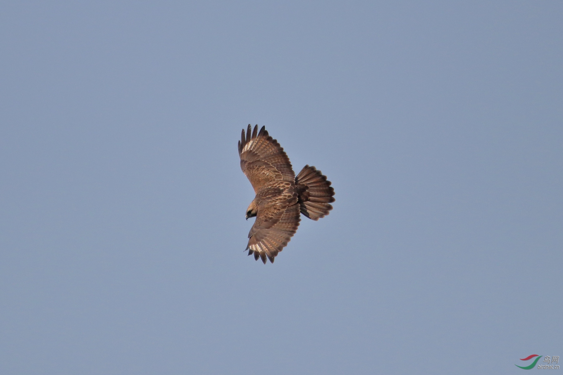 IMG_5990.JPG