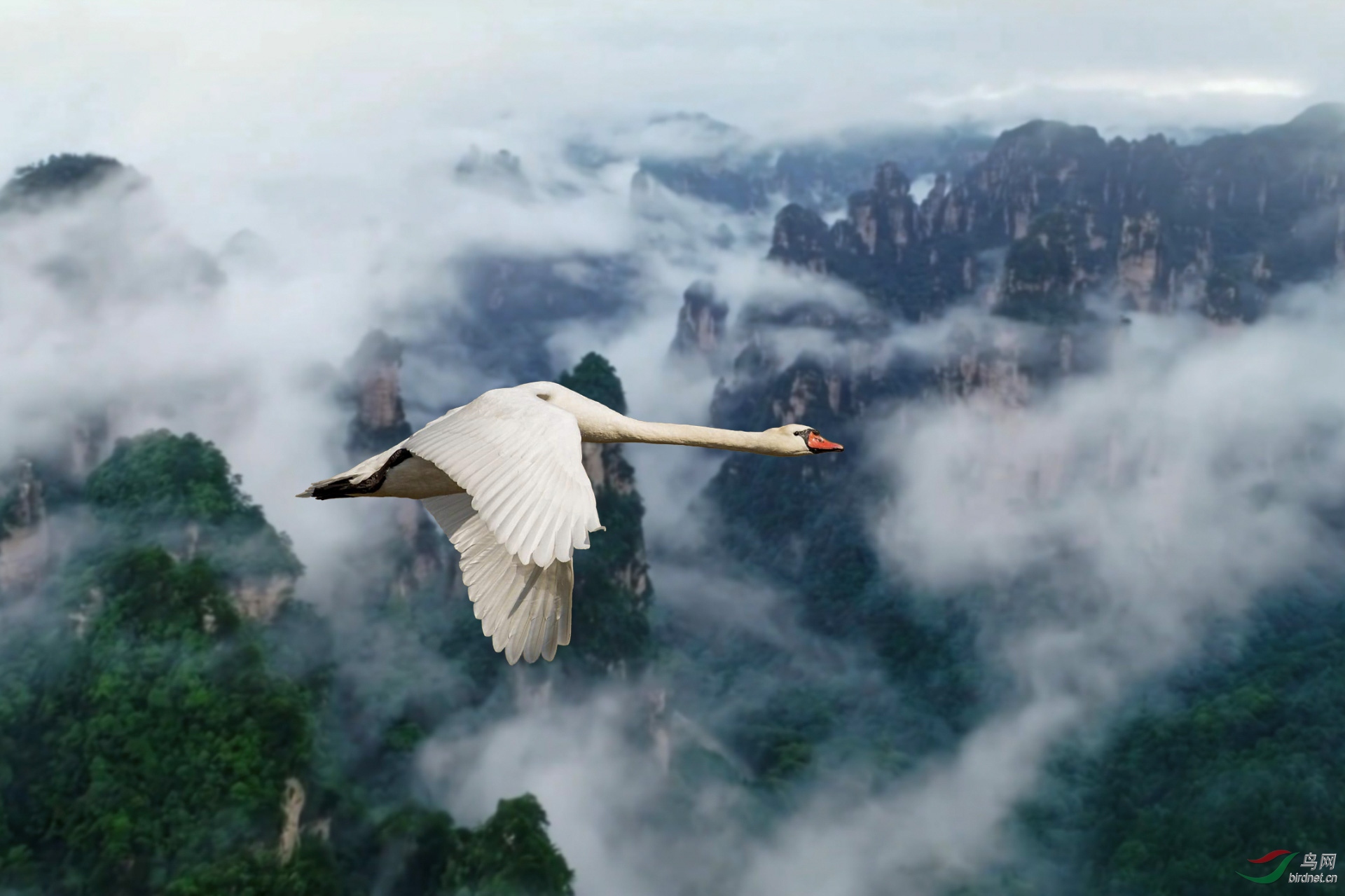 ��������9 ��� 1920x500k.jpg