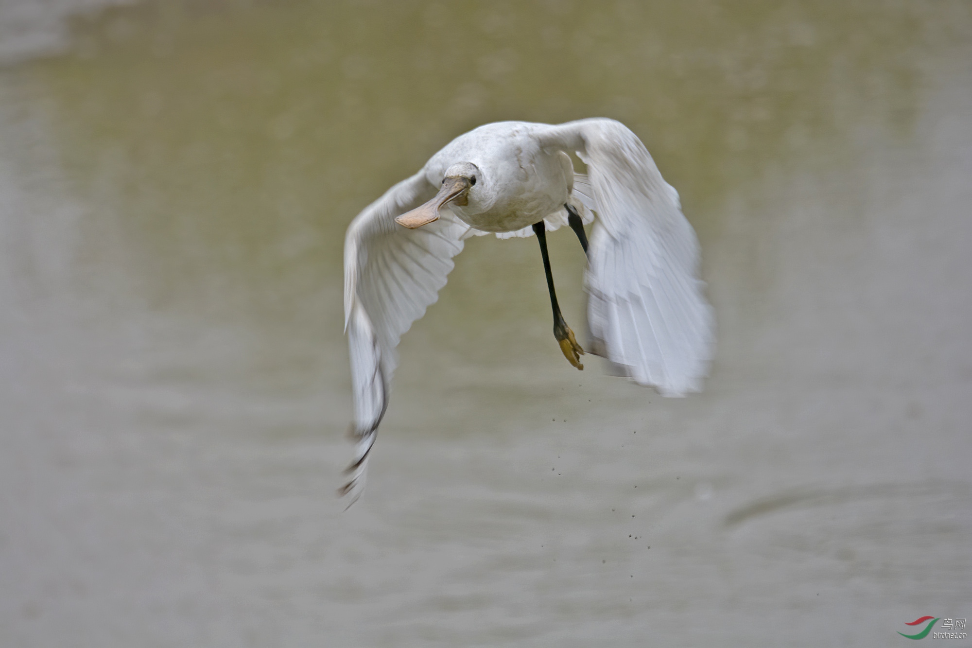 DSC_0188.jpg