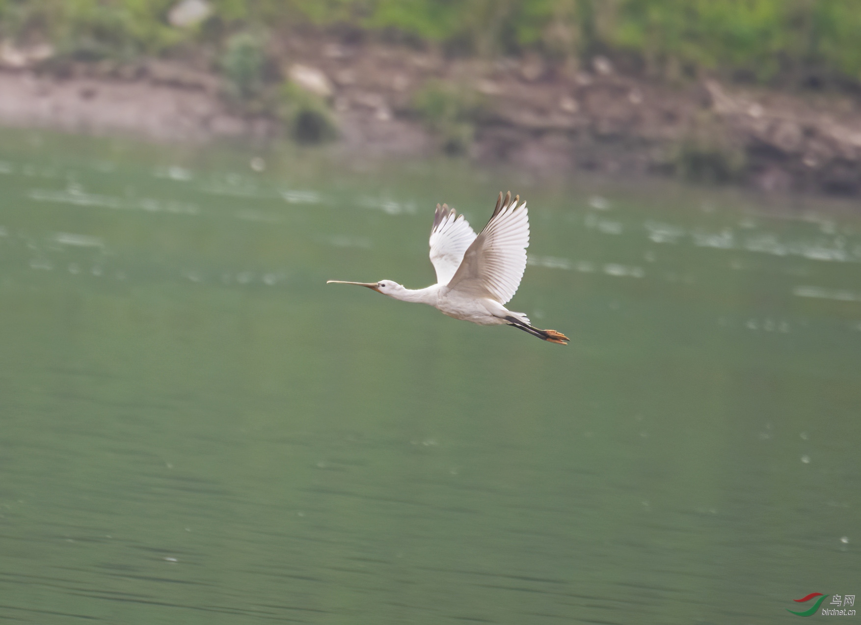 DSC_1262.jpg