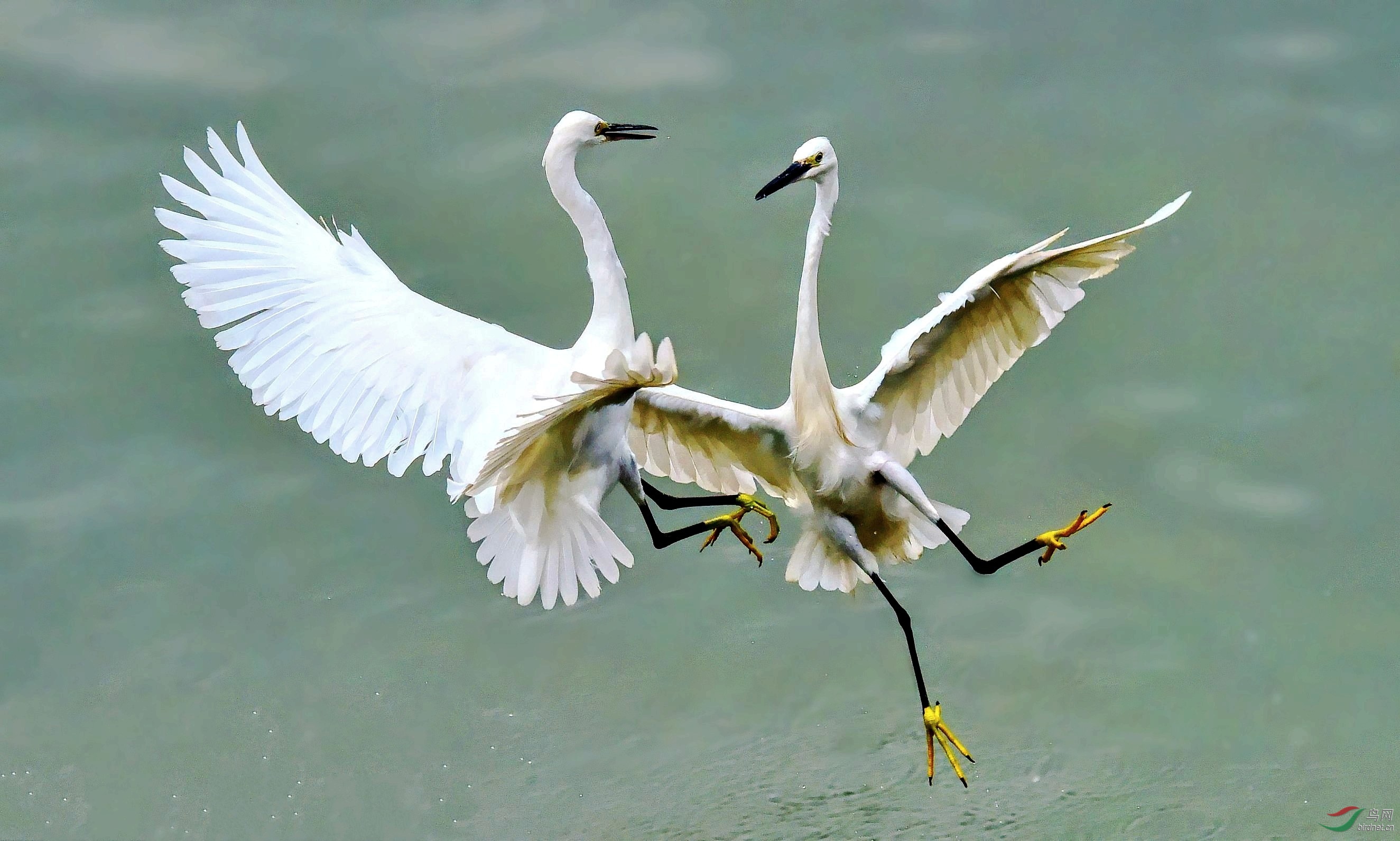 DSC_9283_conew6.jpg