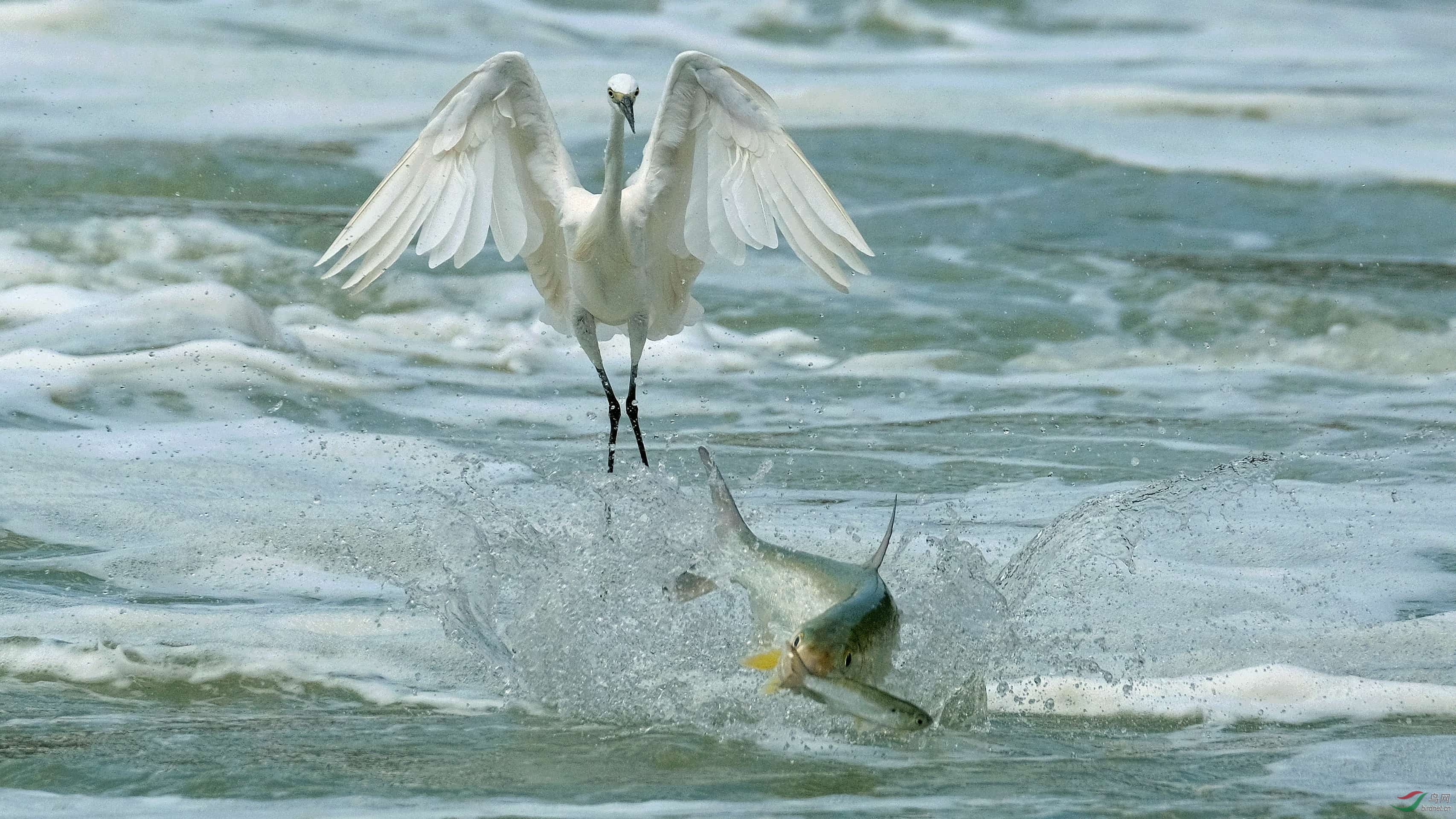 DSCF1749_���� (1).jpg