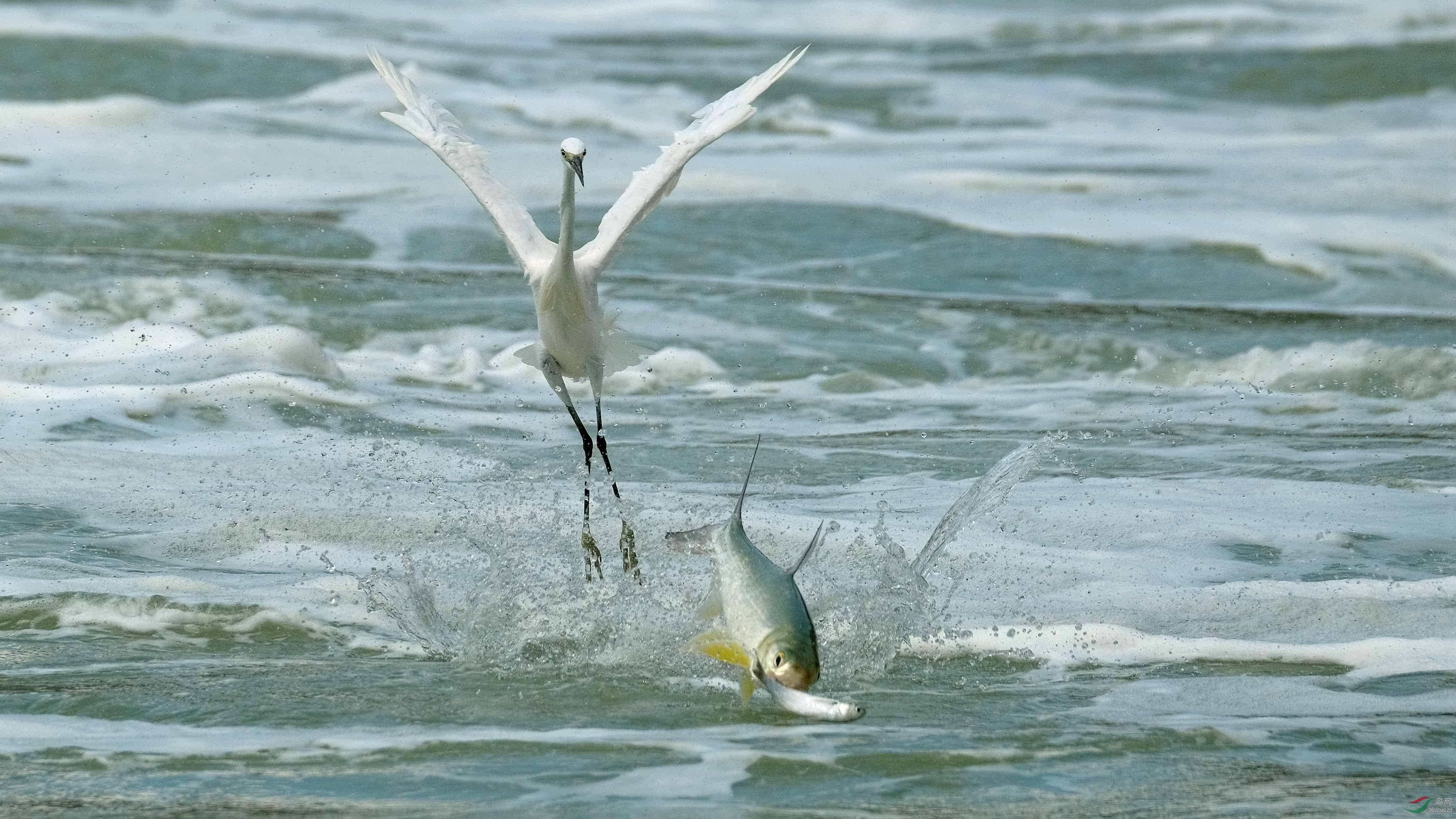 DSCF1750_���� (1).jpg