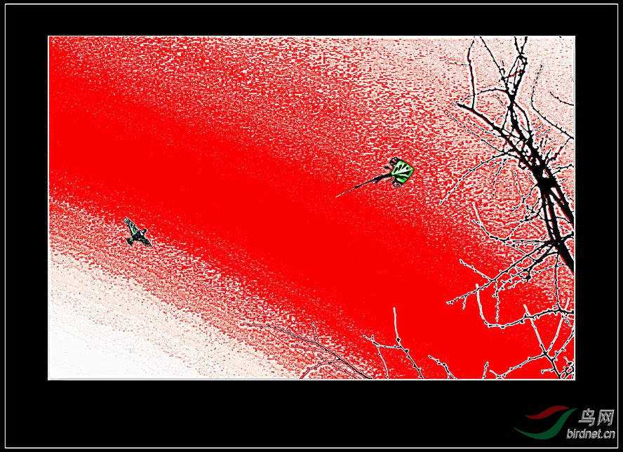8J6A2996_����_����_����1_����.jpg