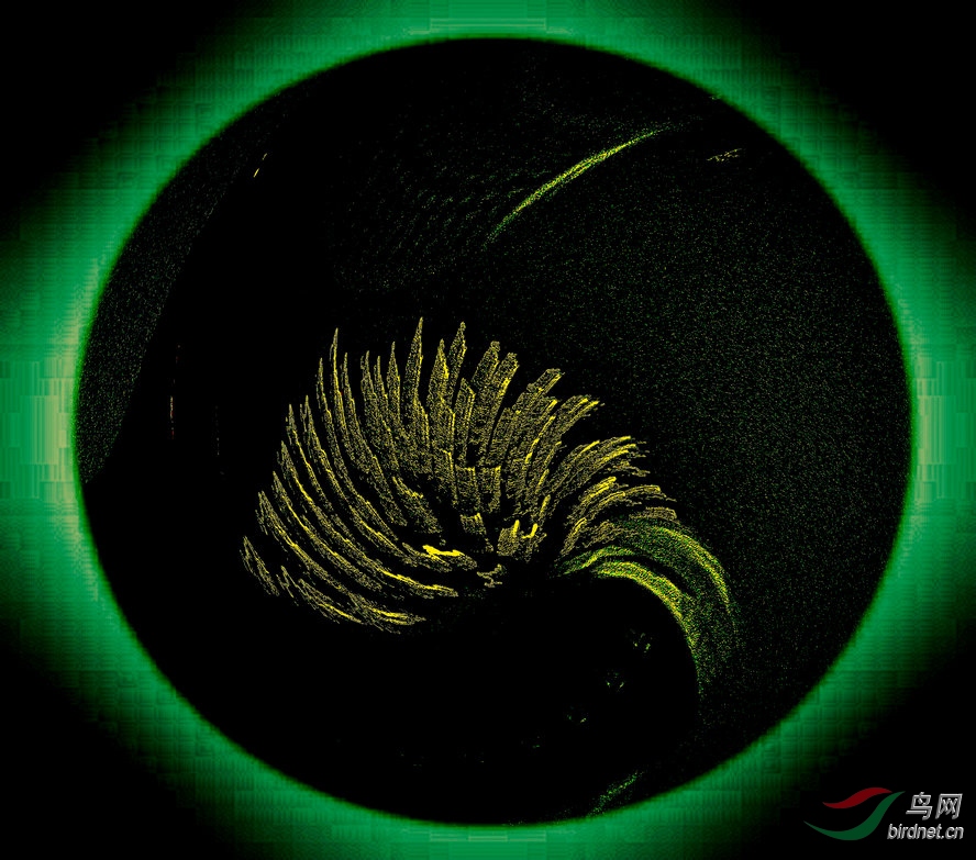8J6A3058_����_����_����1_����.jpg