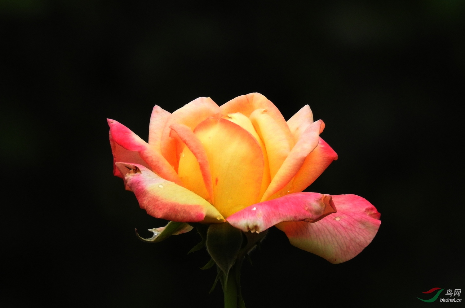 DSCN5472.JPG