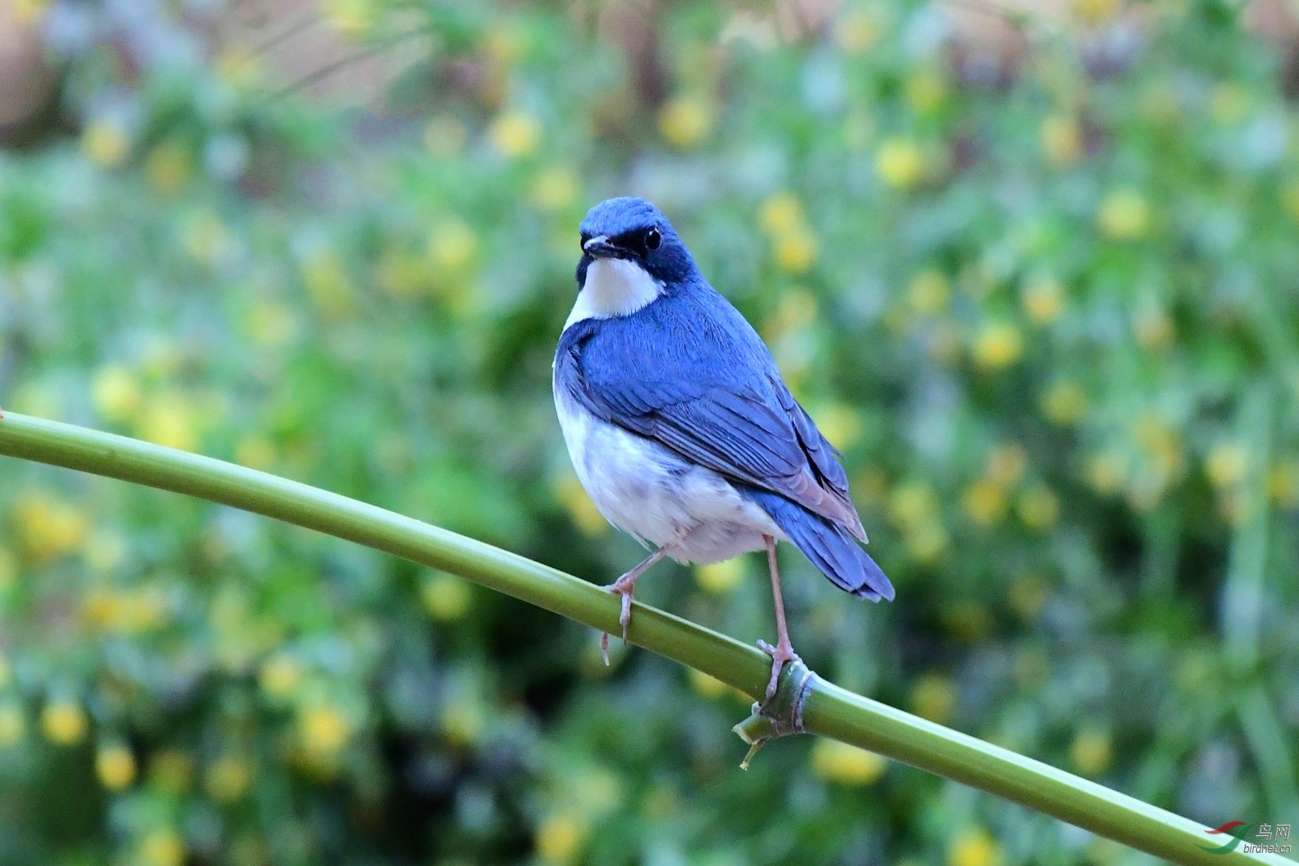DSC_0865.JPG