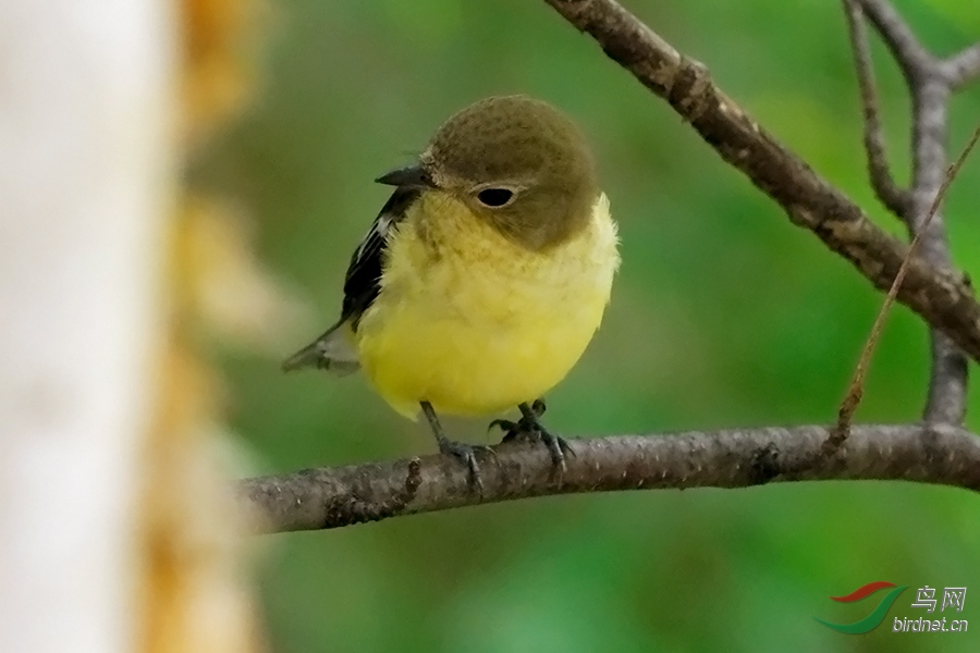 DSC_5898b.jpg