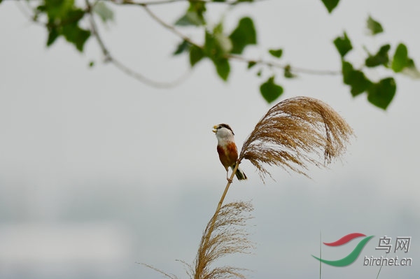 19DSC_3761_����.jpg