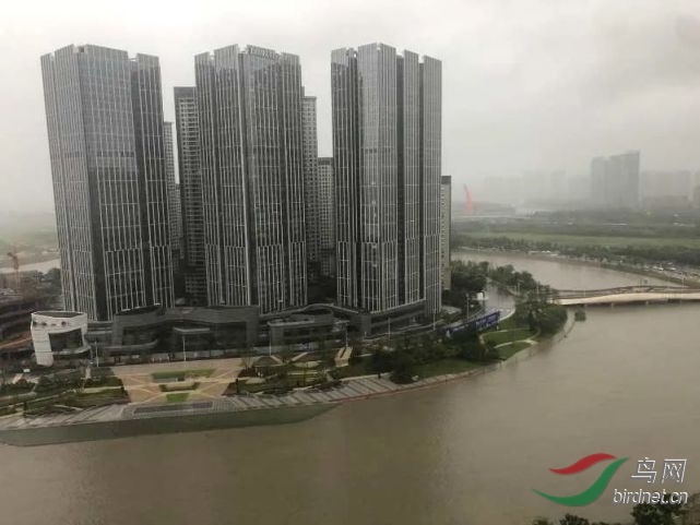 ΢��ͼƬ_20200818074919.jpg