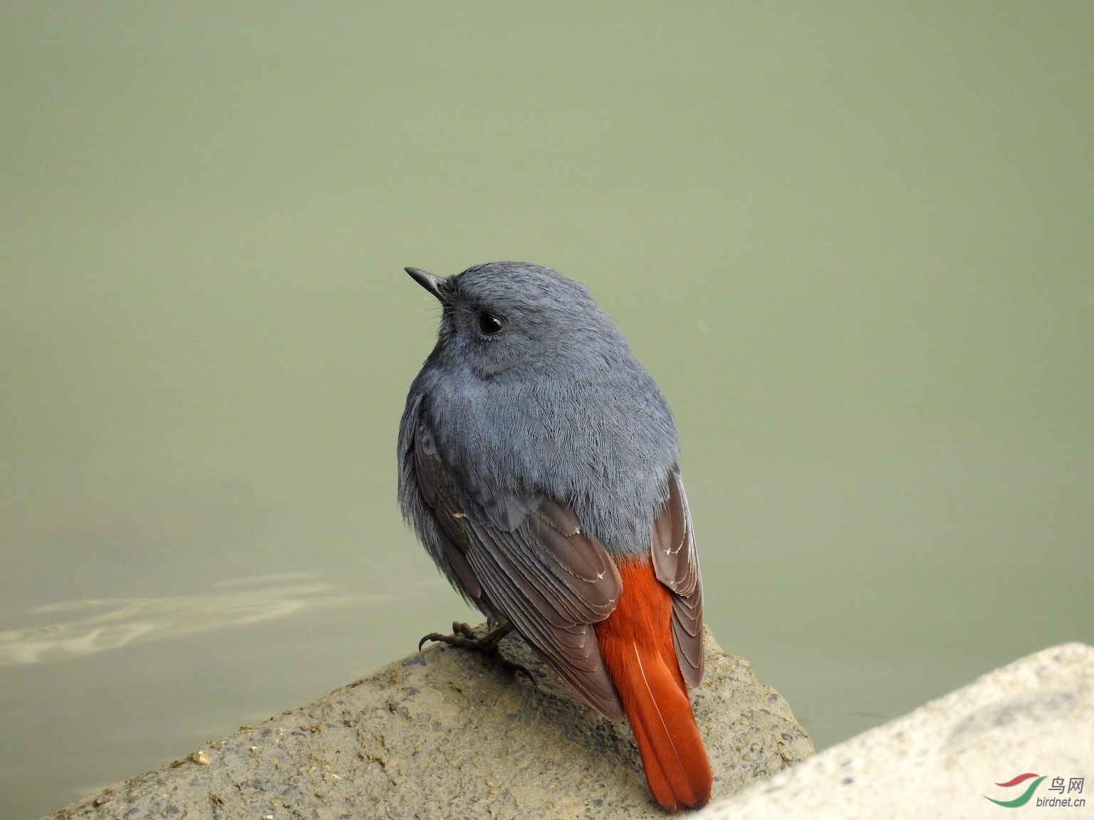 DSCN6579.JPG