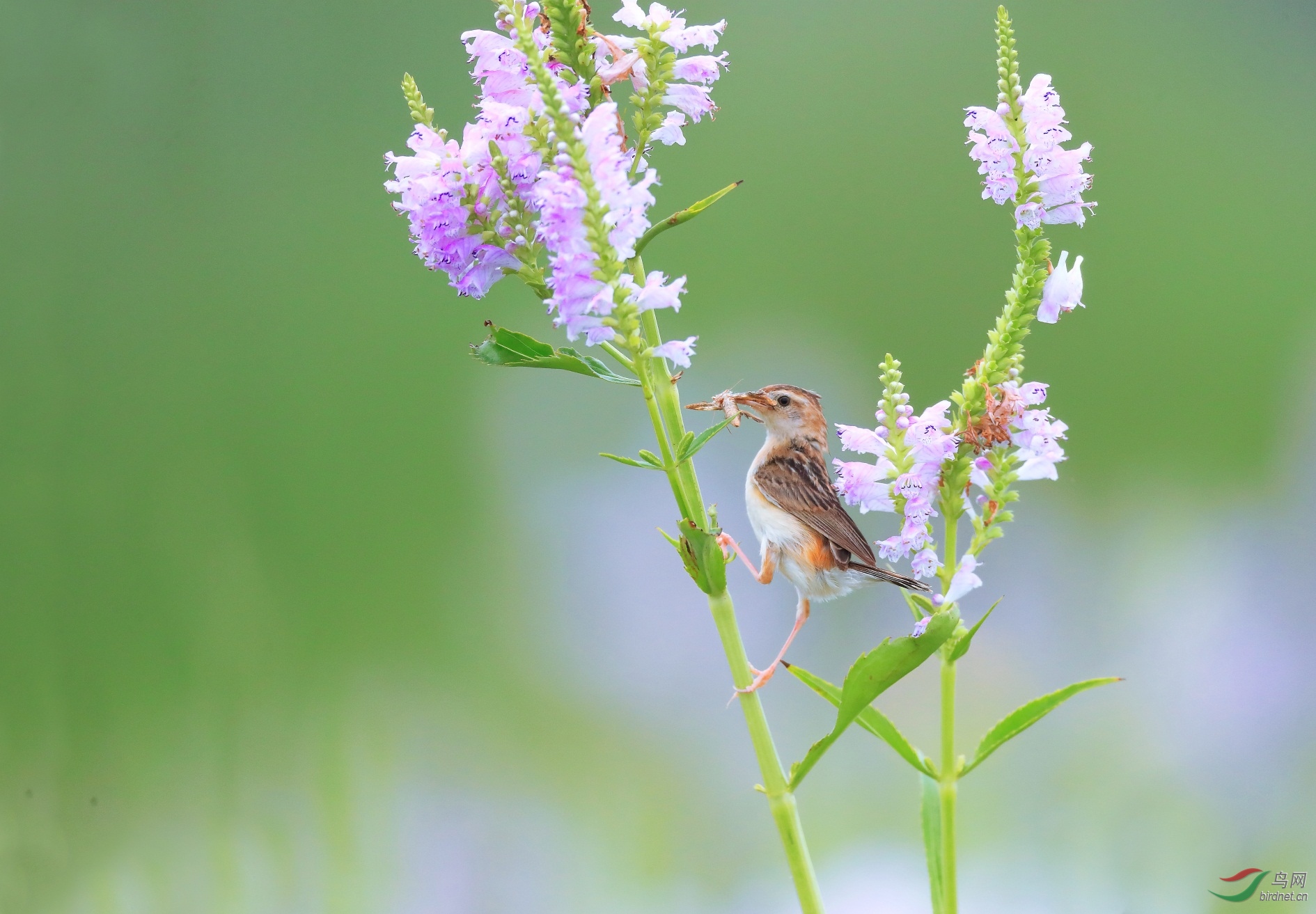 3 - ����.JPG