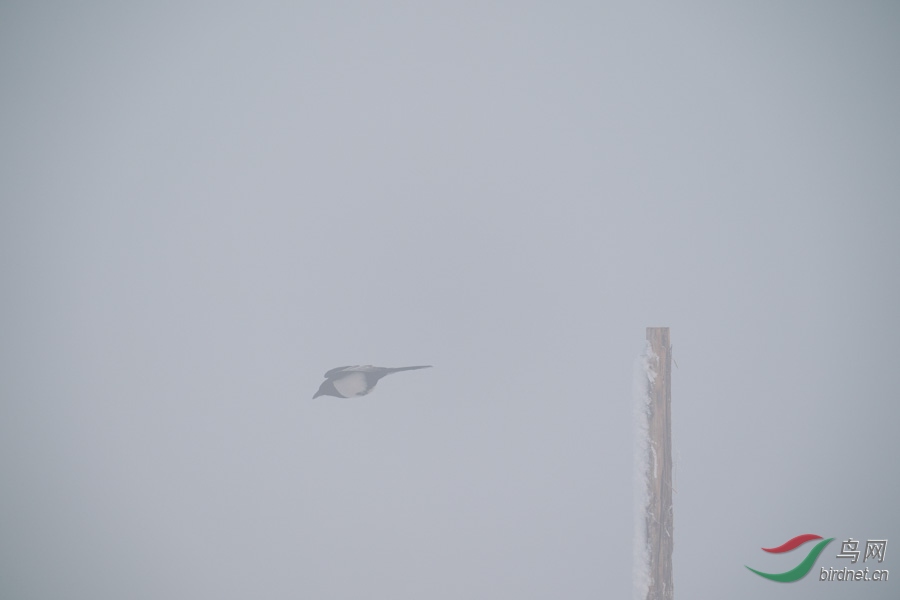 DSC00691.jpg