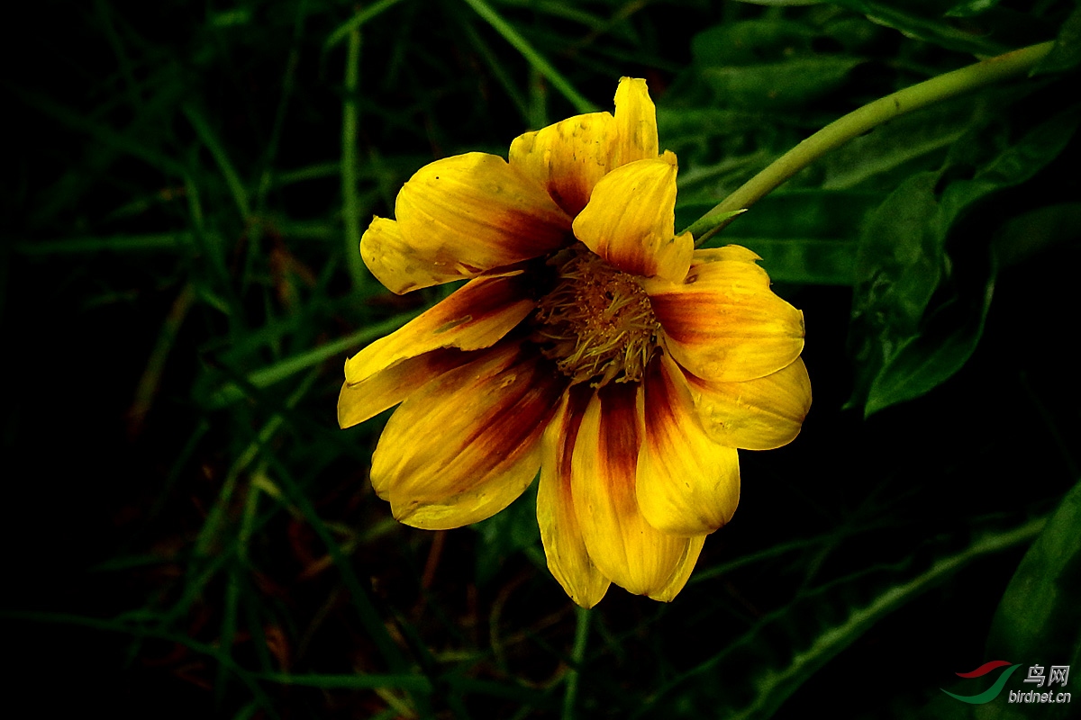 P8170164.jpg