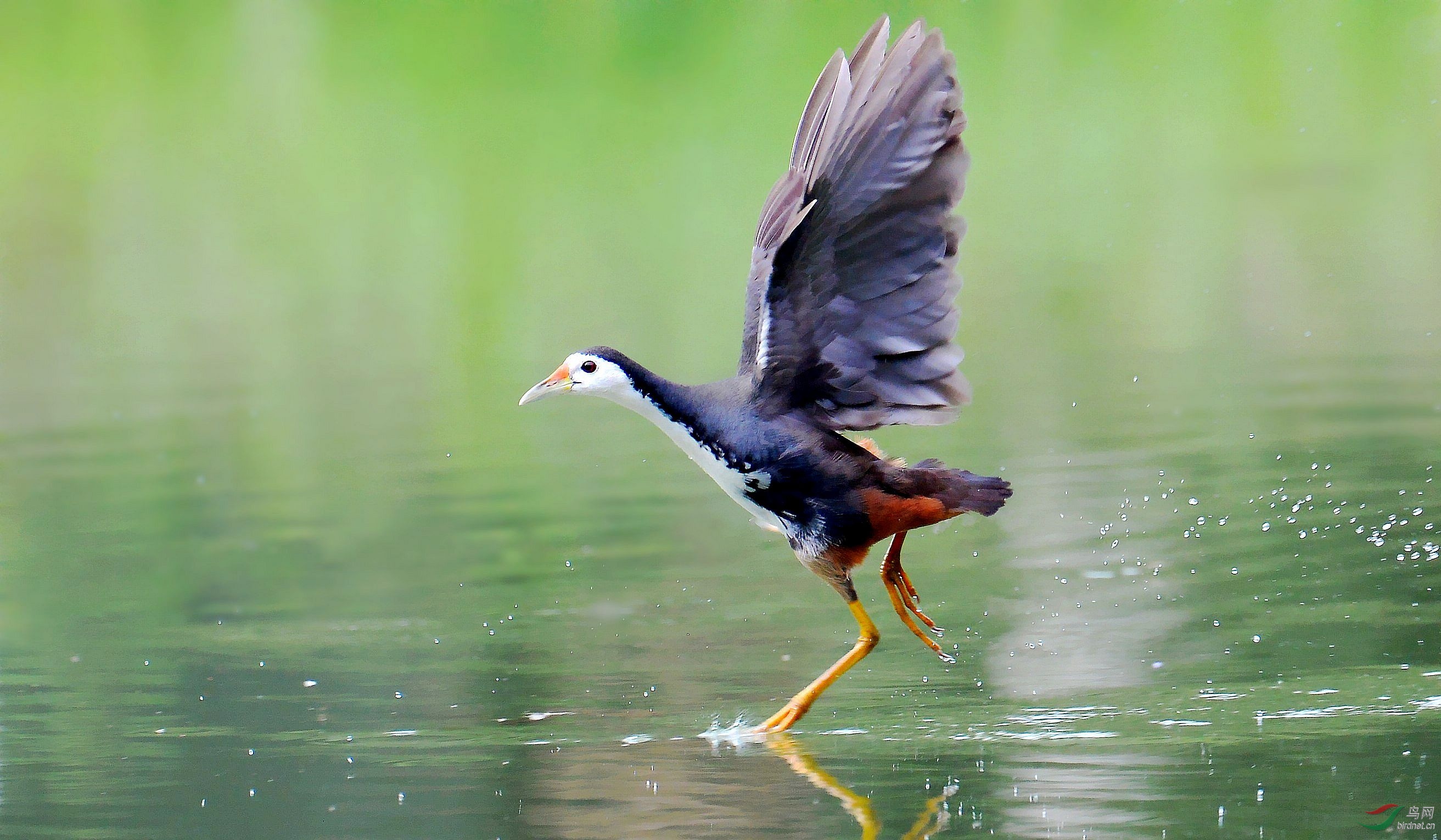 DSC_0091_conew7.jpg
