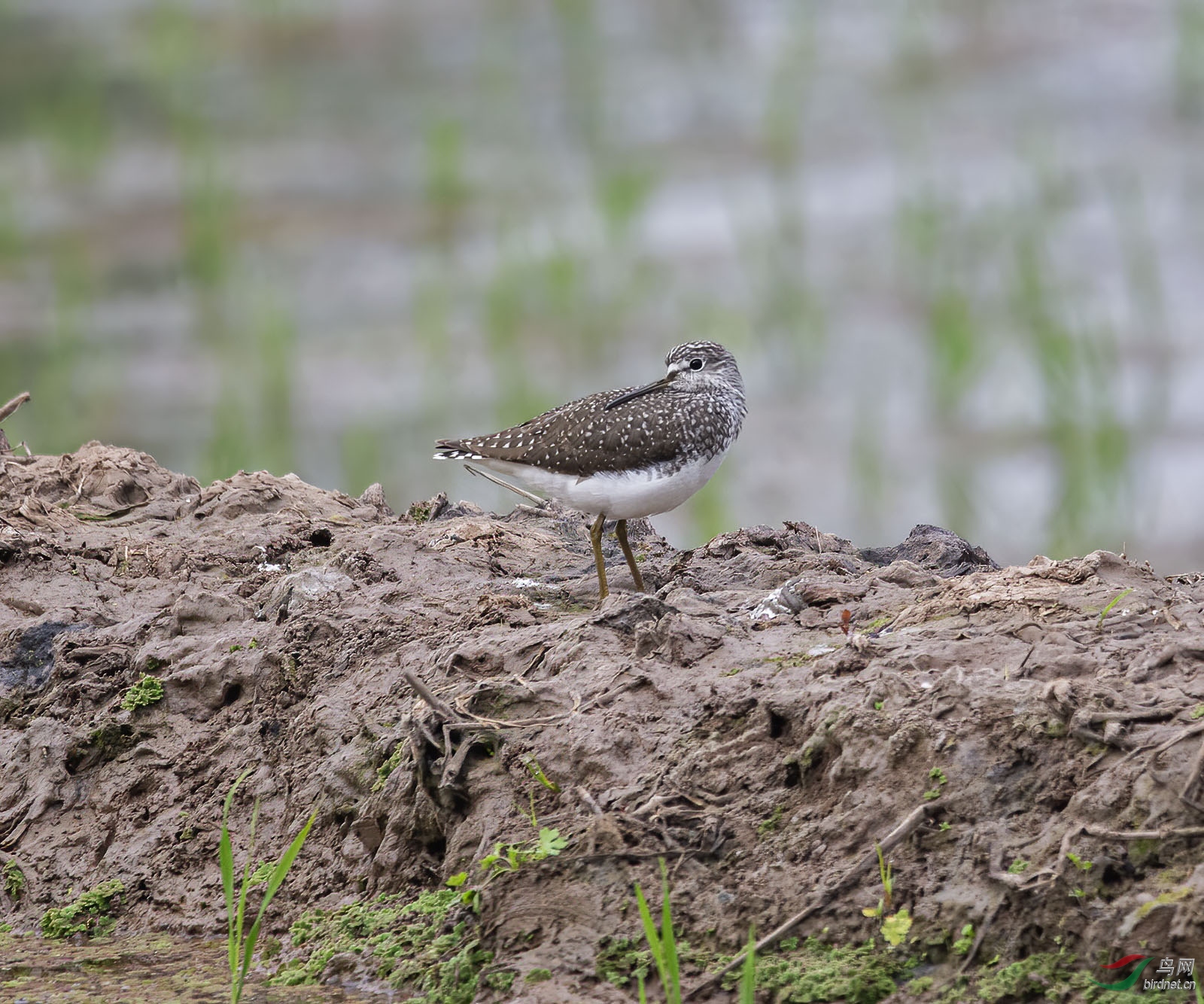 DSC_3149.jpg
