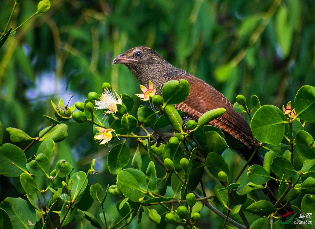 DSC_0154.jpg
