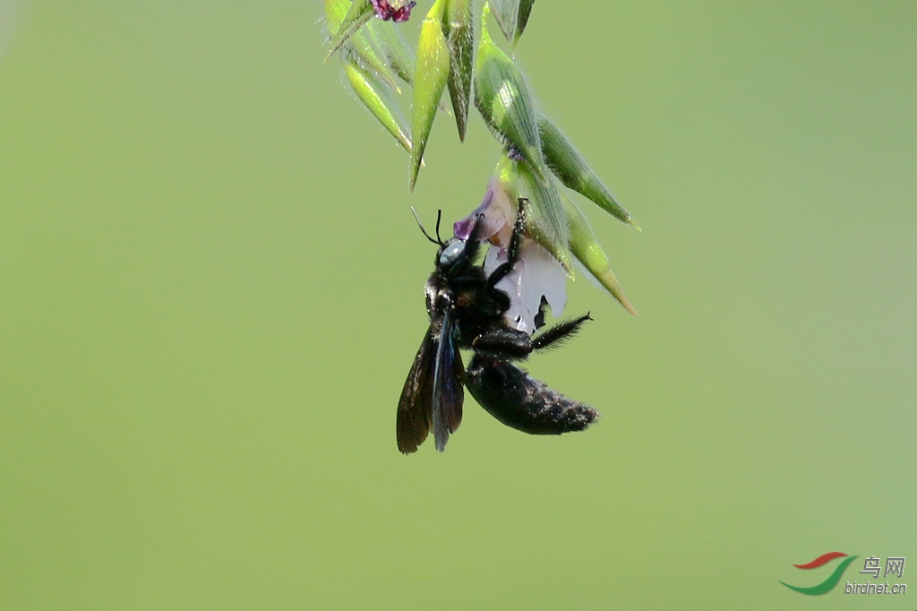 367A4280_����.jpg