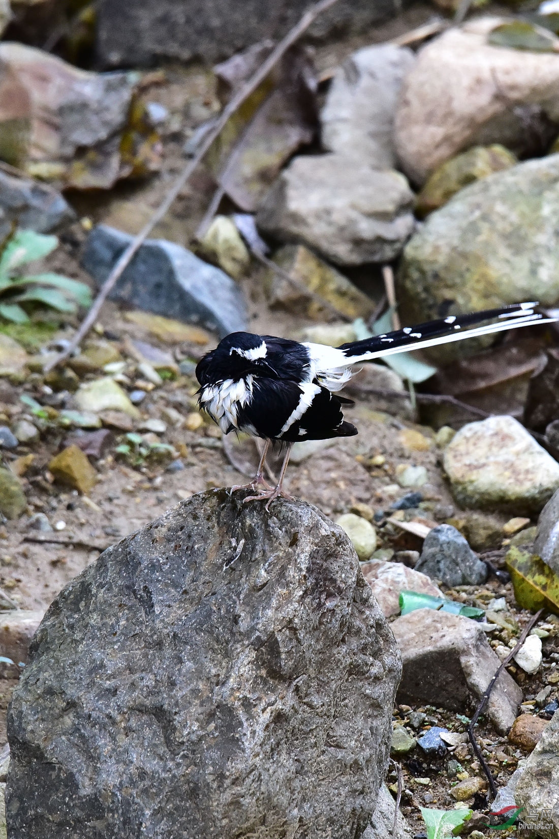 DSC_1112.JPG