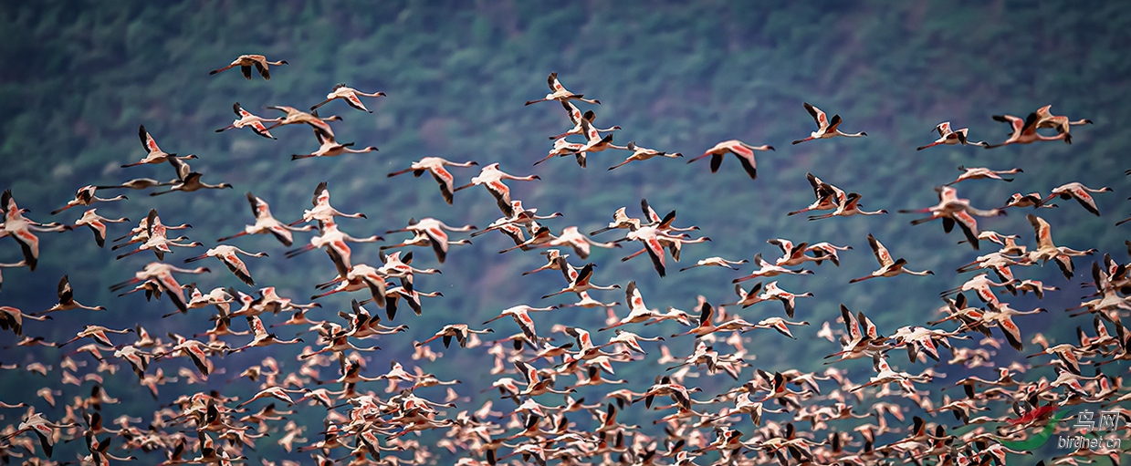 �����ڿ����ǲ������Ǻ���