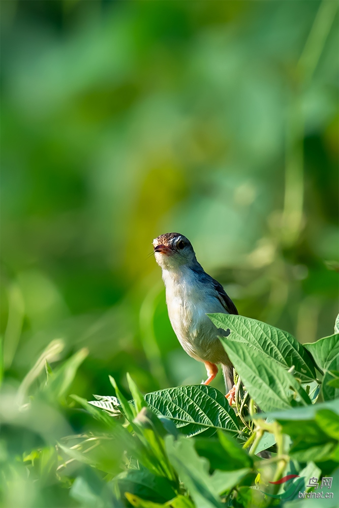 DSC_6331-4 ����.jpg