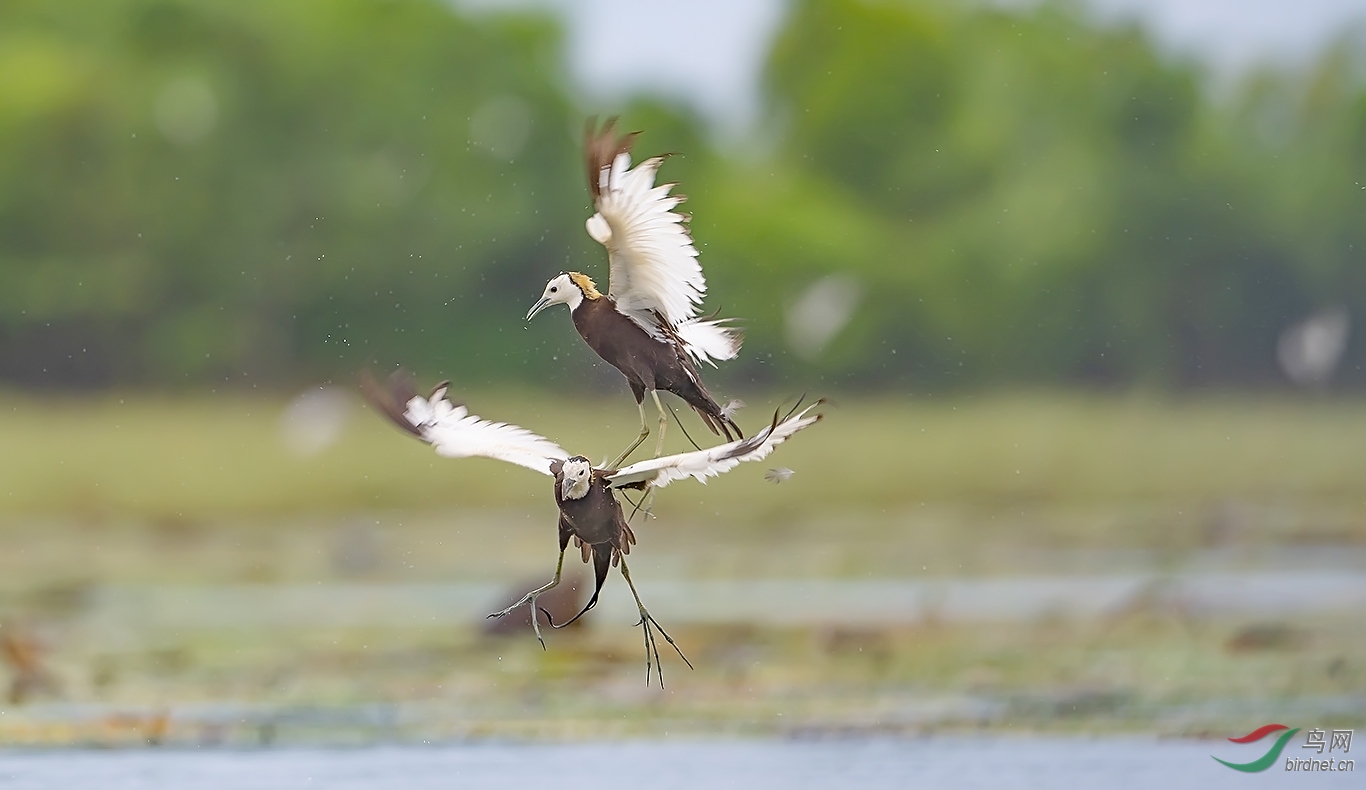 Aˮ����Bˮ�����еڶ���������