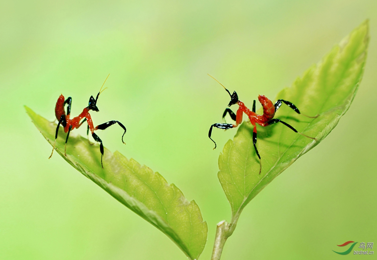 DSC_0300 �������� ��������.jpg