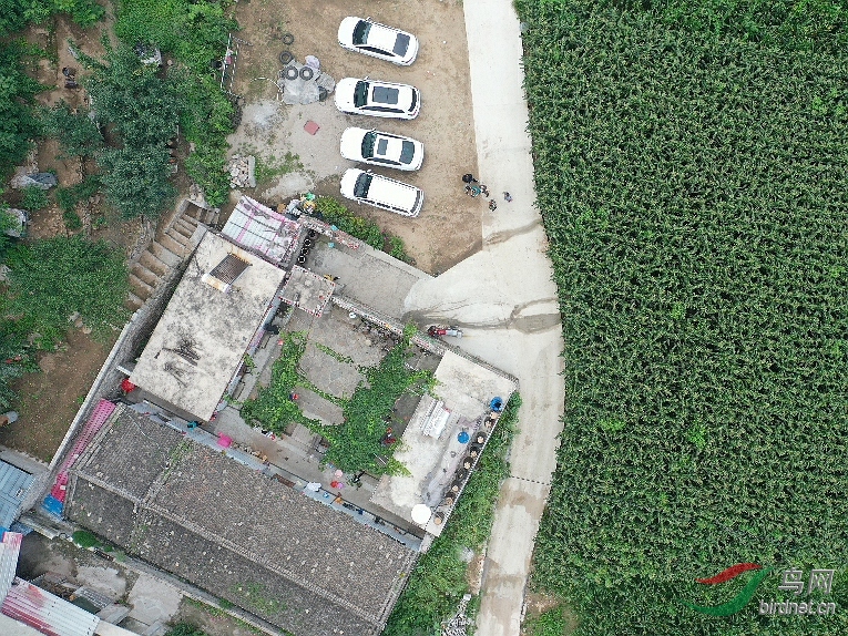 DJI_0057_����.jpg