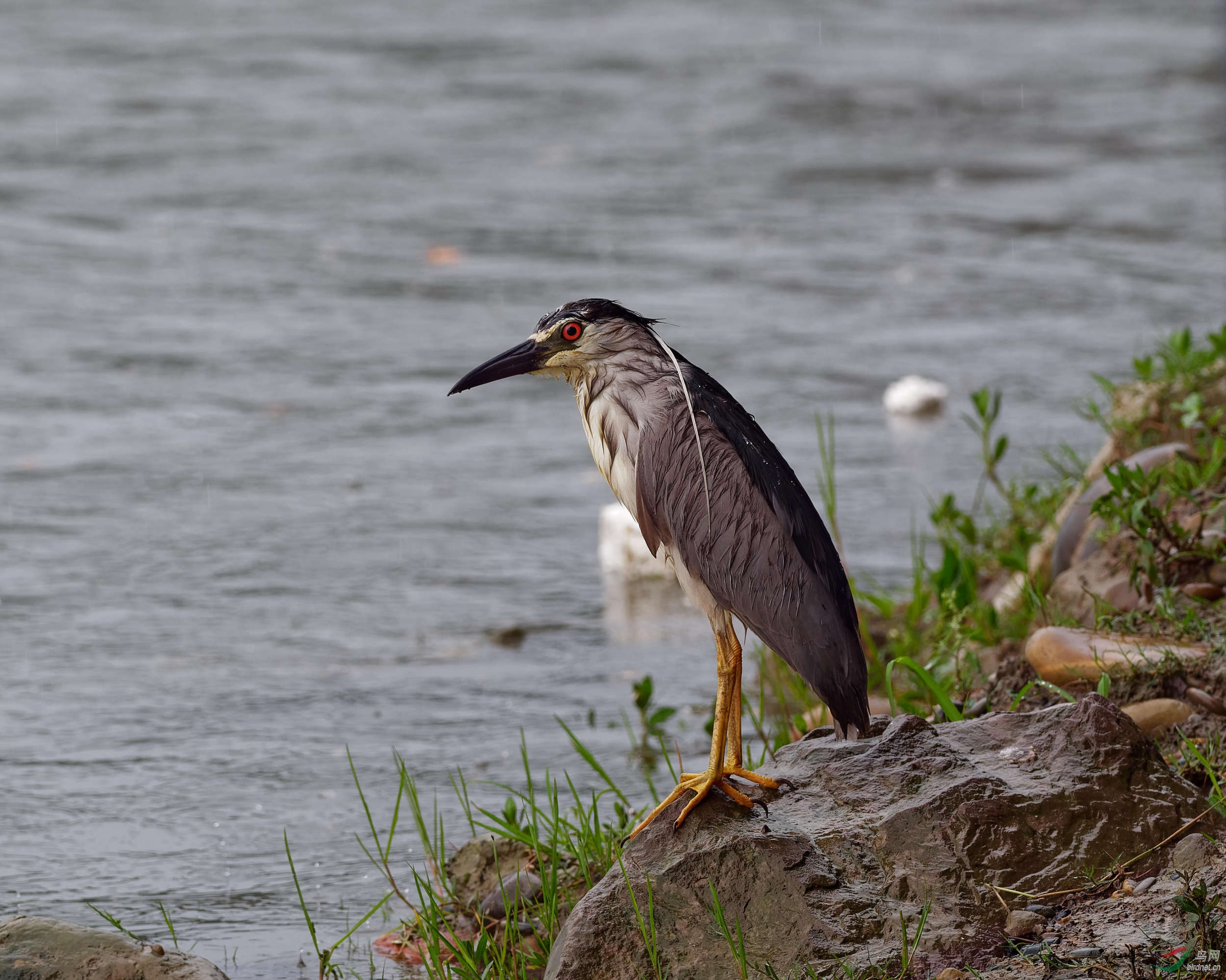 P1081341_DxO-1_DxO.jpg