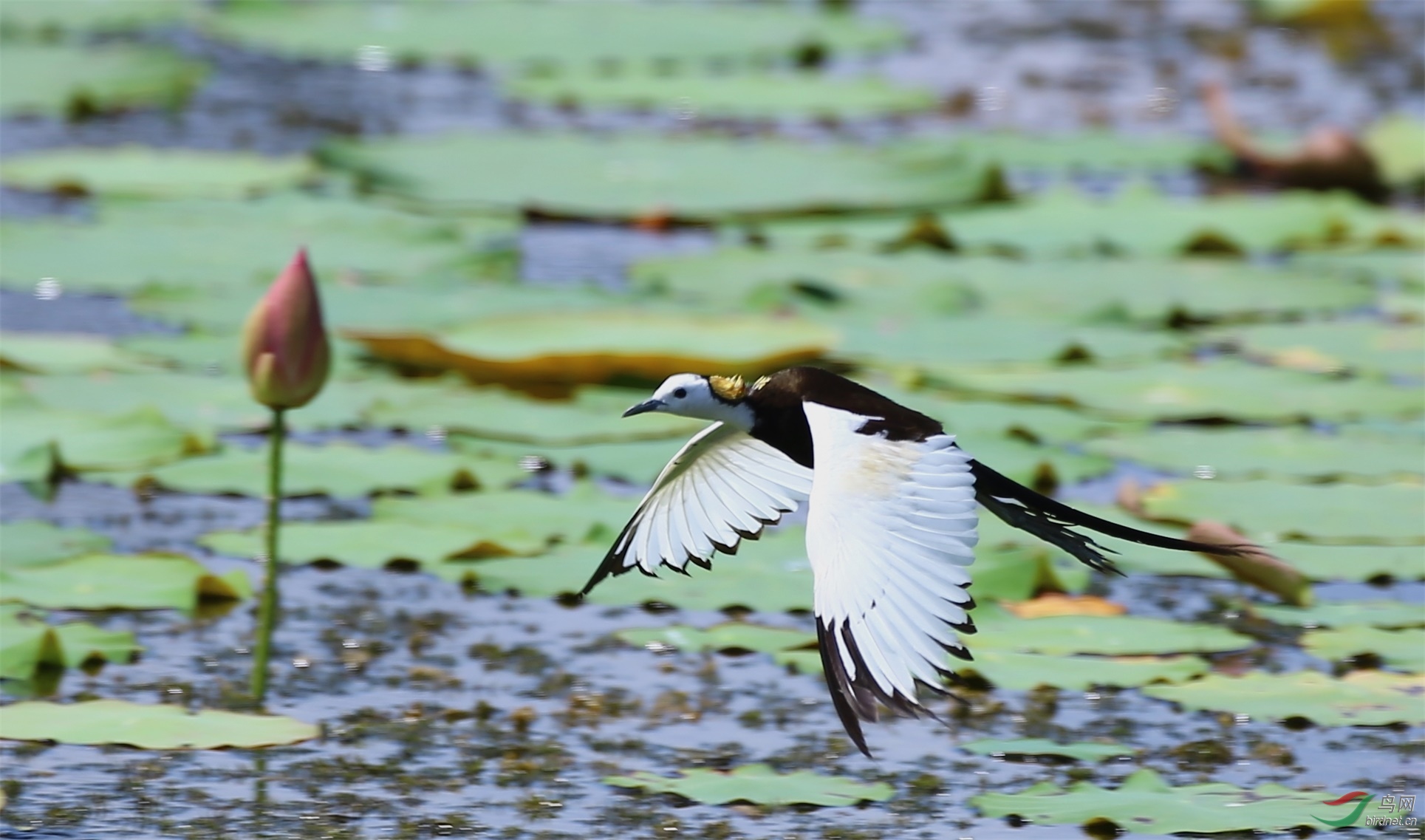 2020.7.29�㣬�ѷ� (9).jpg