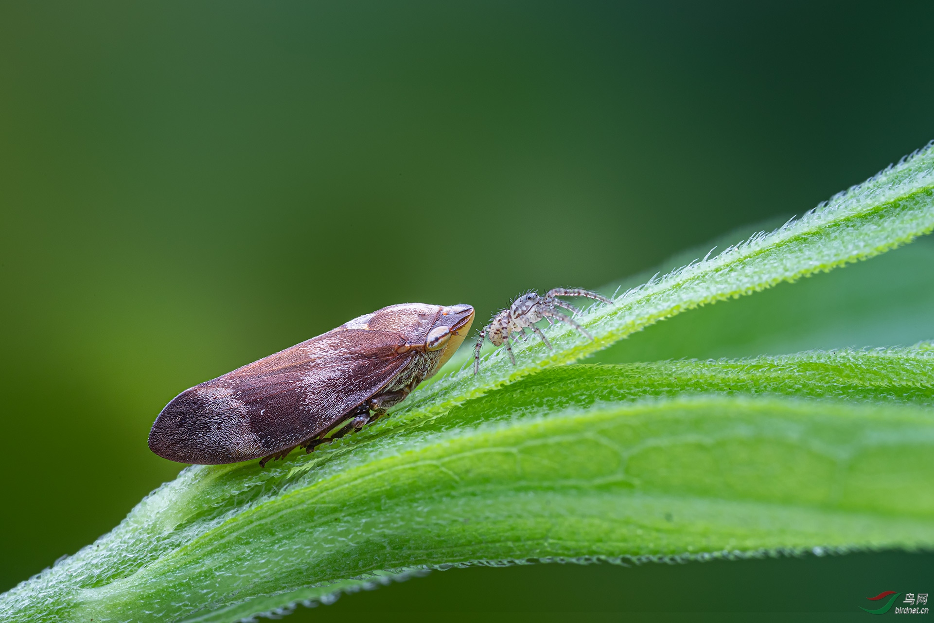 _G3A6097-1.jpg