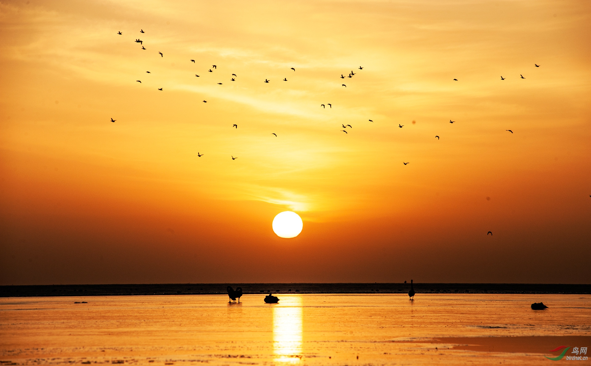 《一轮红日出东方》