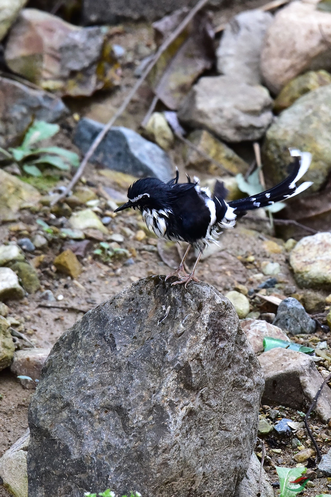 DSC_1120.JPG