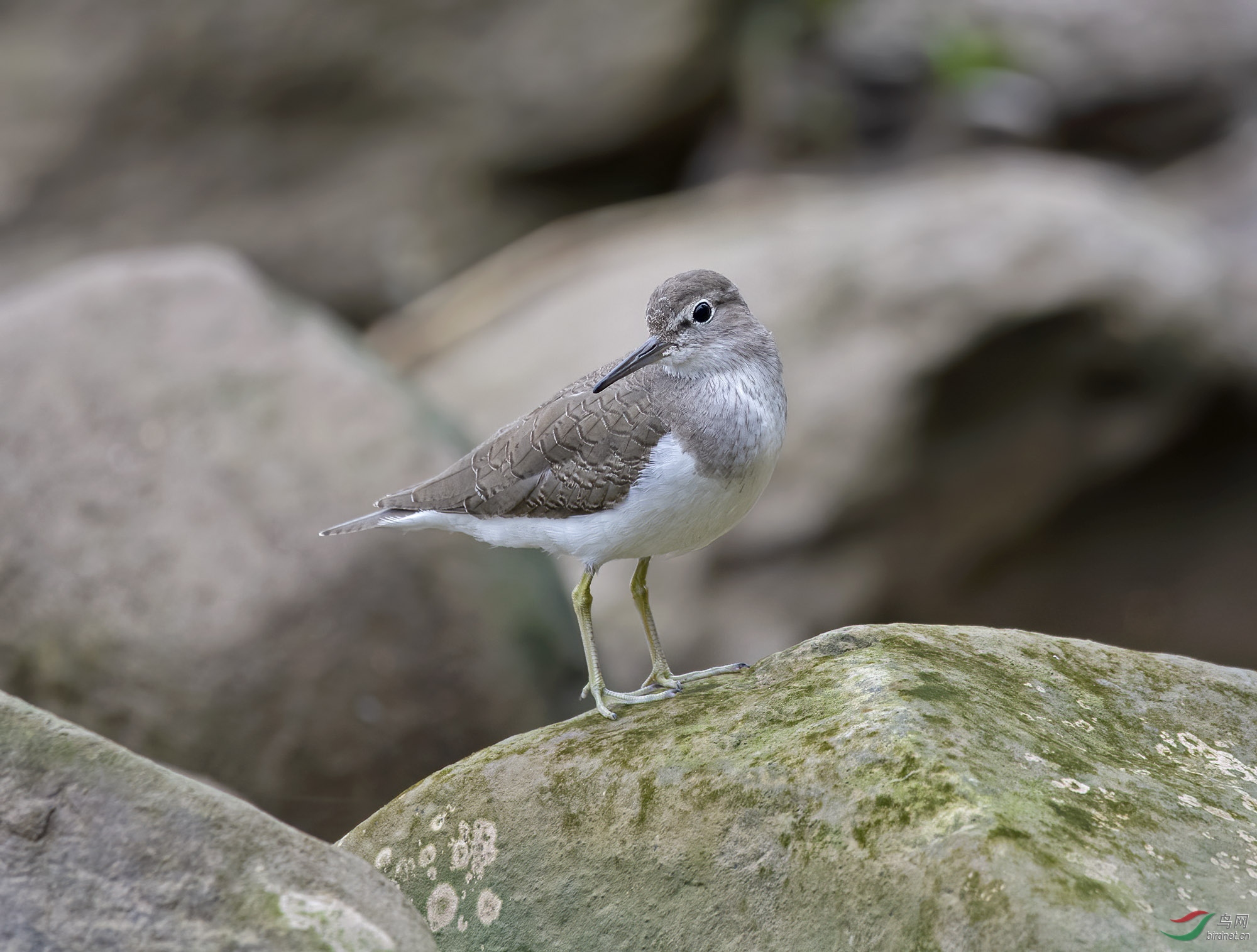 DSC_0722.jpg