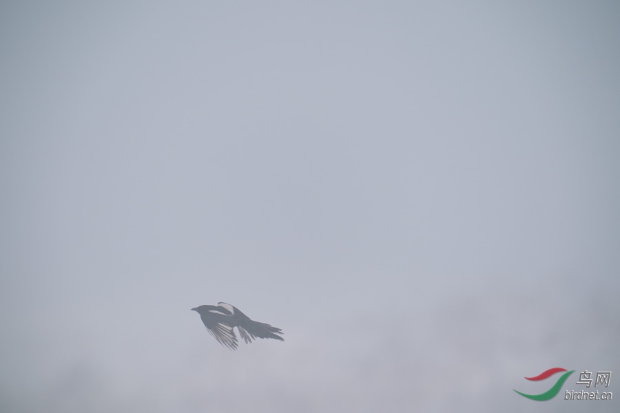 DSC00724.jpg