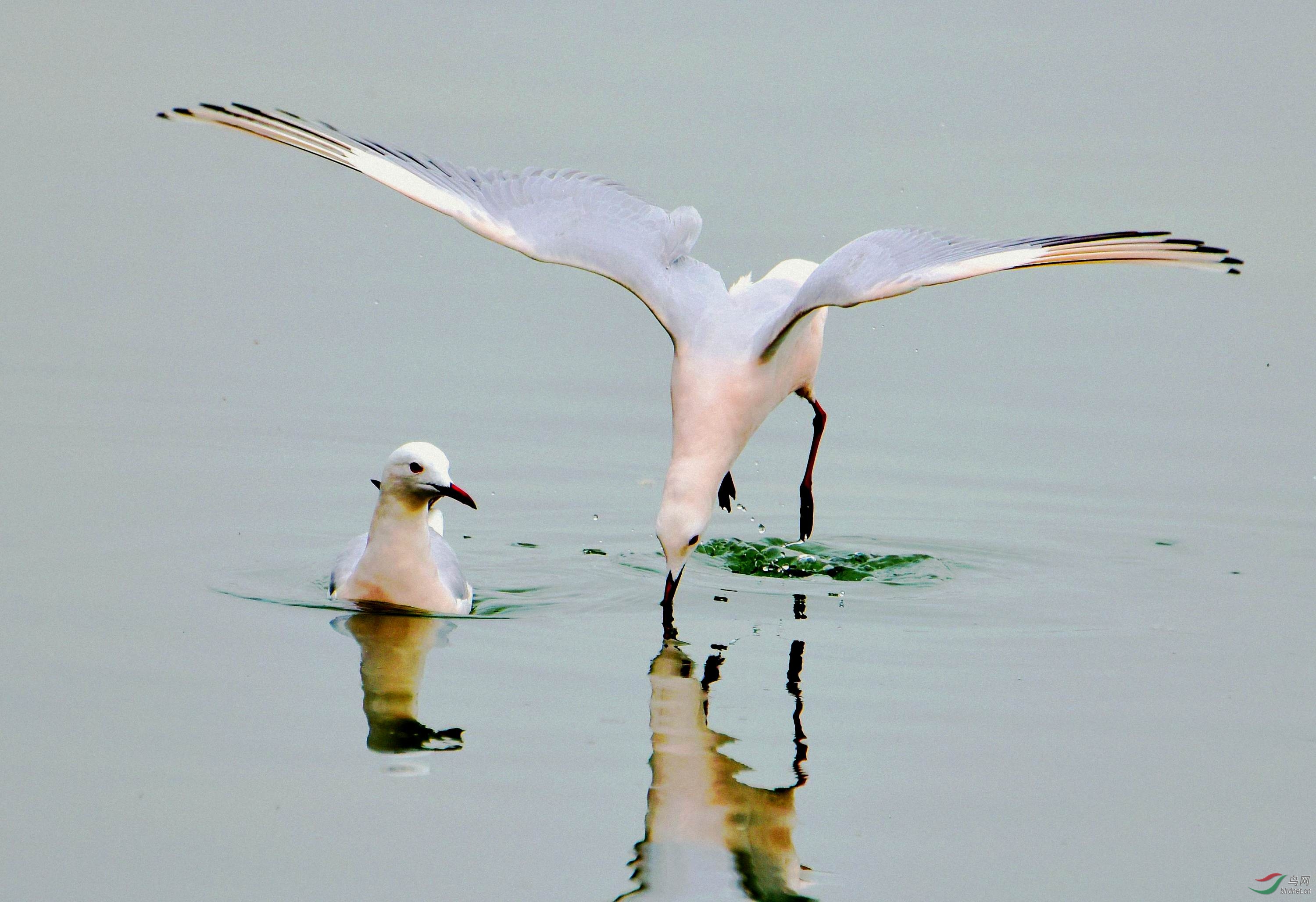 DSC_5544_conew6.jpg