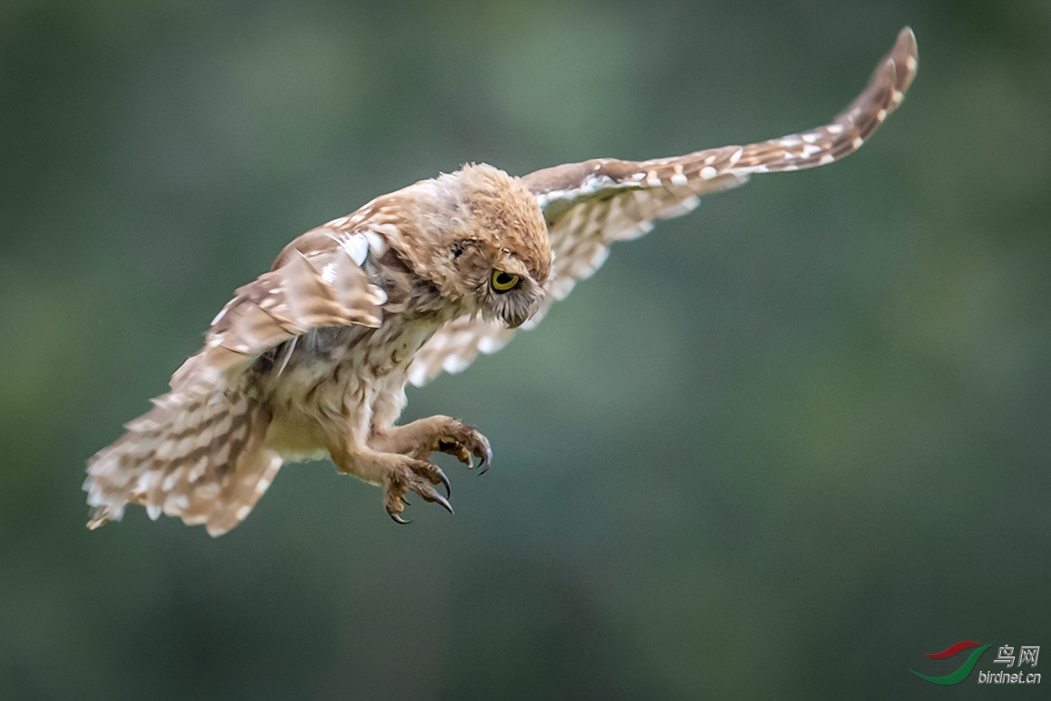 ������ʯ��ׯƽɽ�ء�