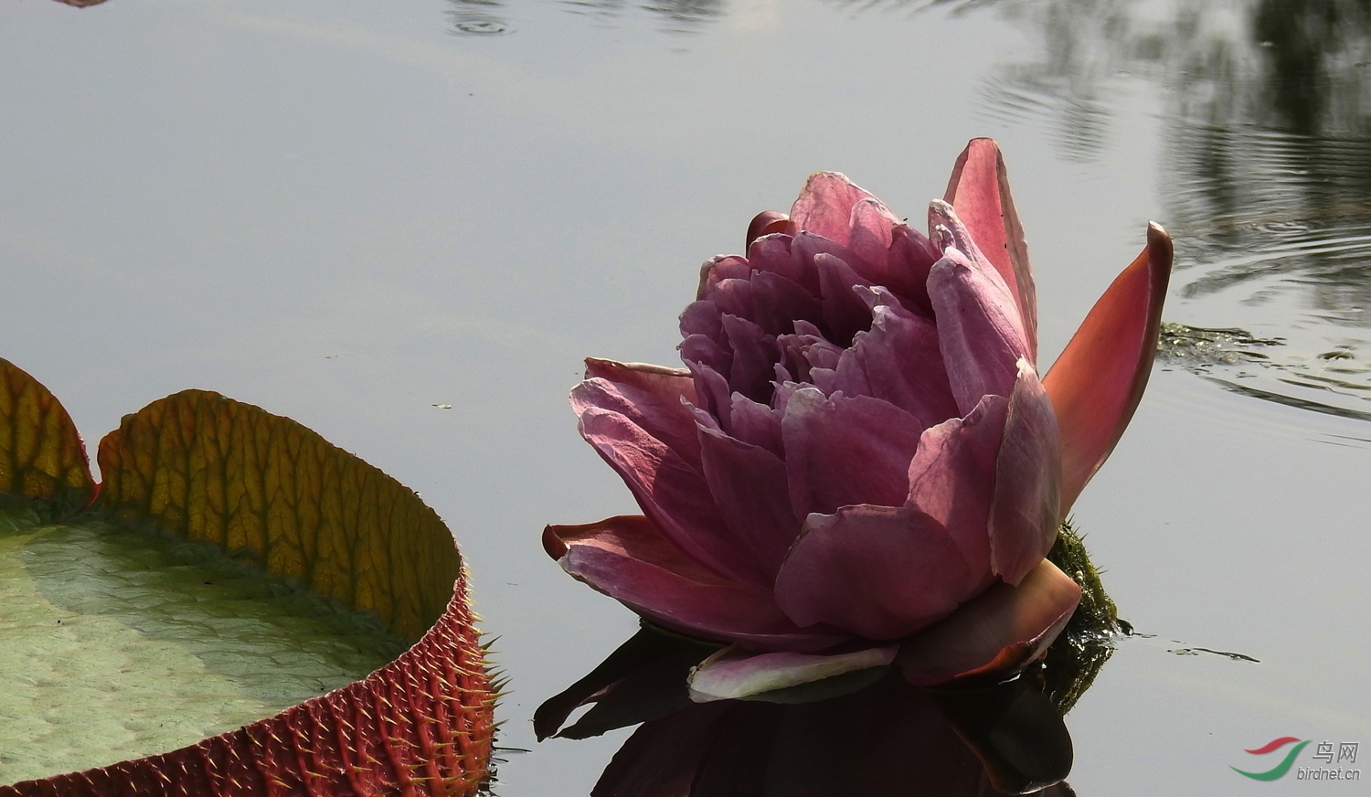 DSCN5937.JPG