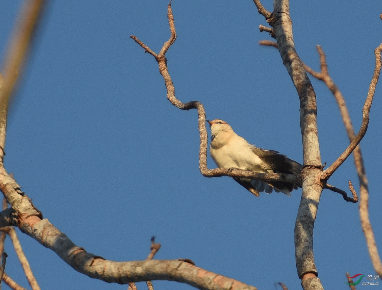 DSC_2381.jpg