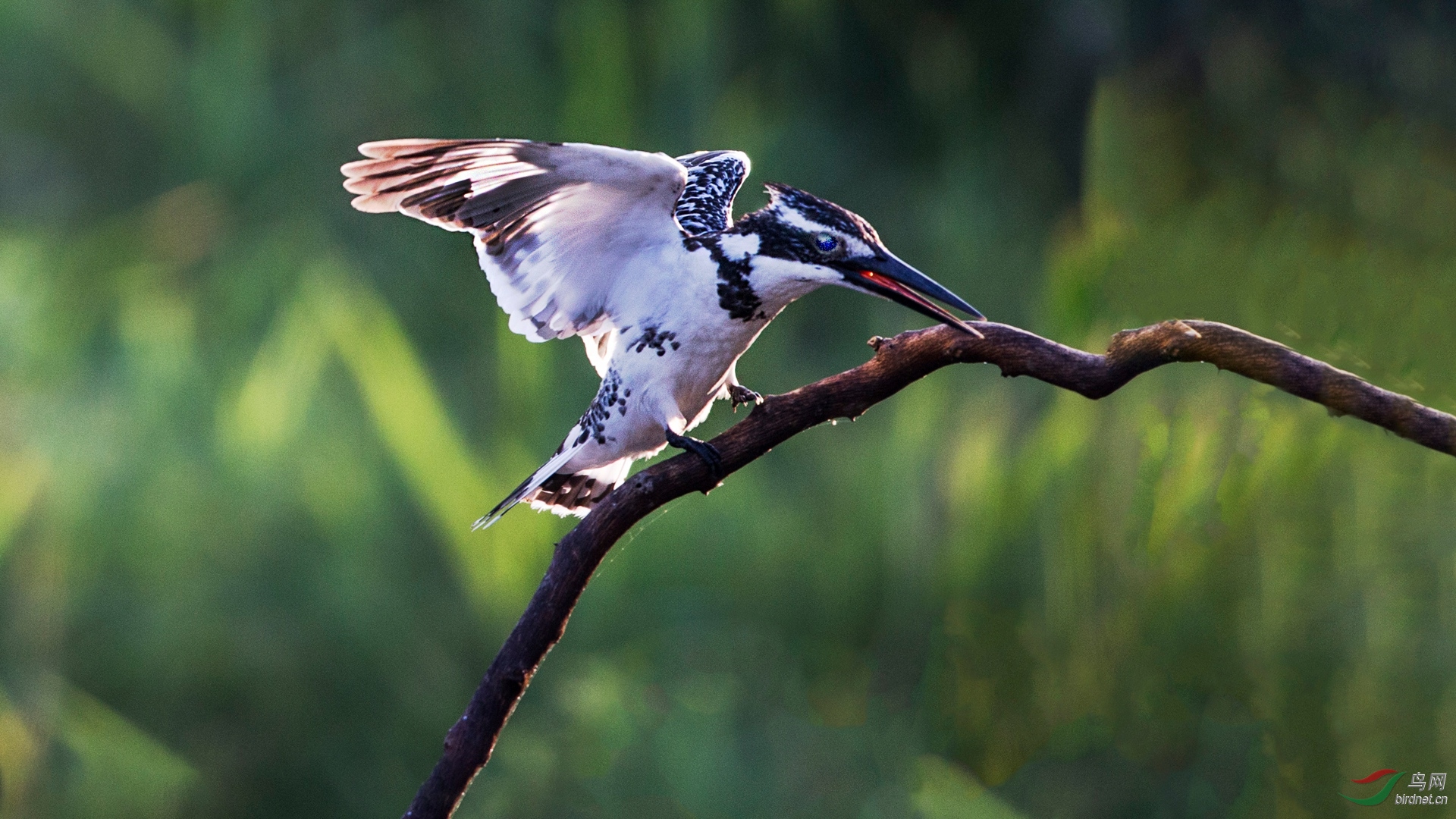 BW4Q7079 - ����.jpg