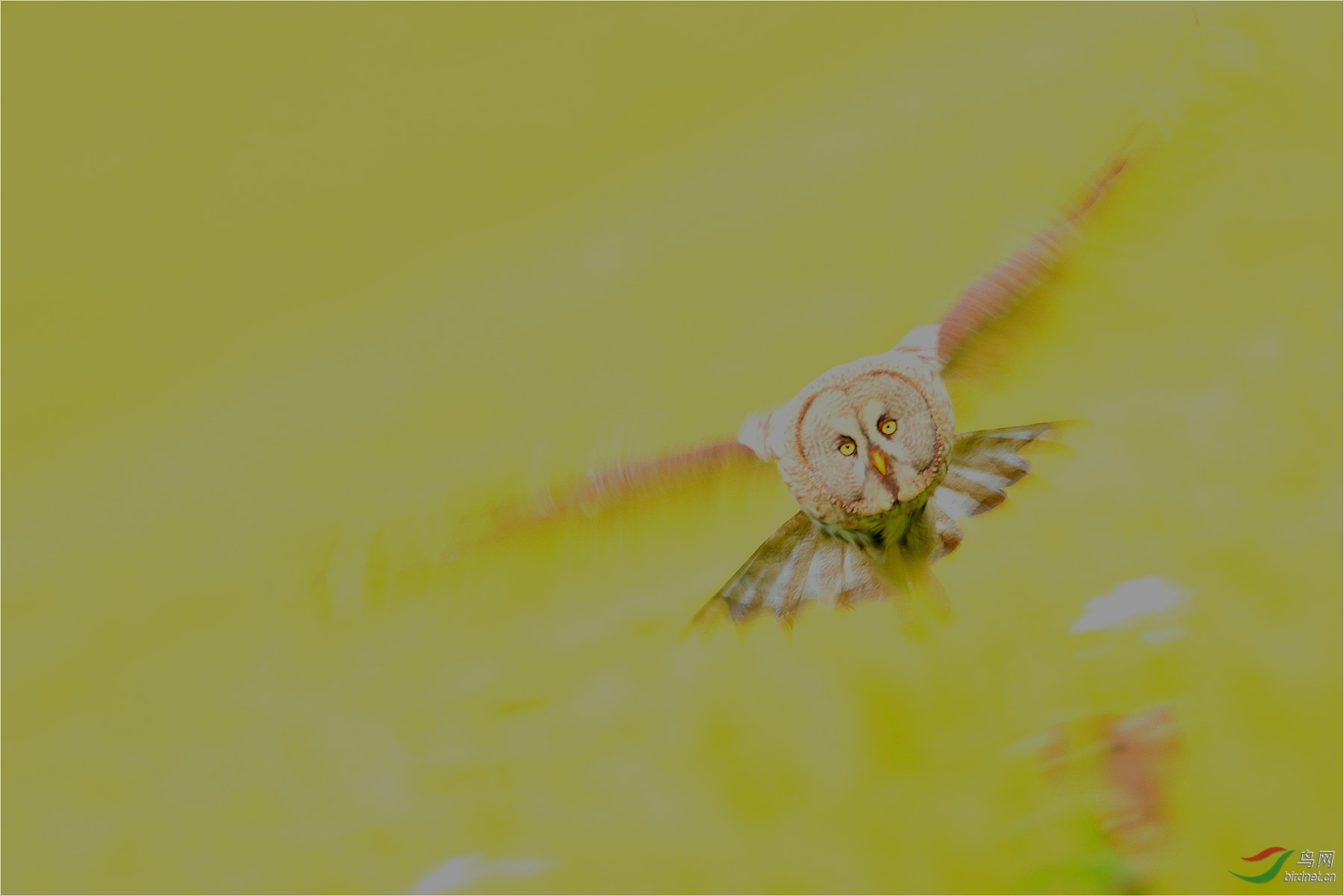 AI4I3810_meitu_40.jpg