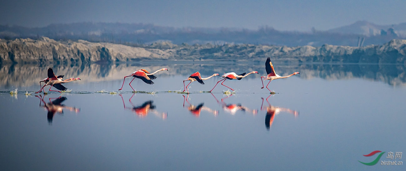 ץ����ɽ���˳��κ���