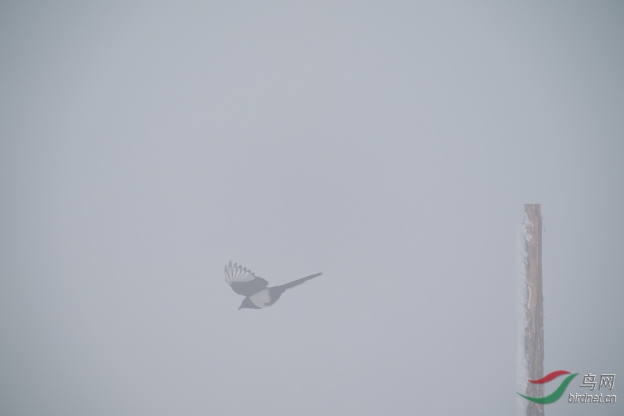 DSC00693.jpg