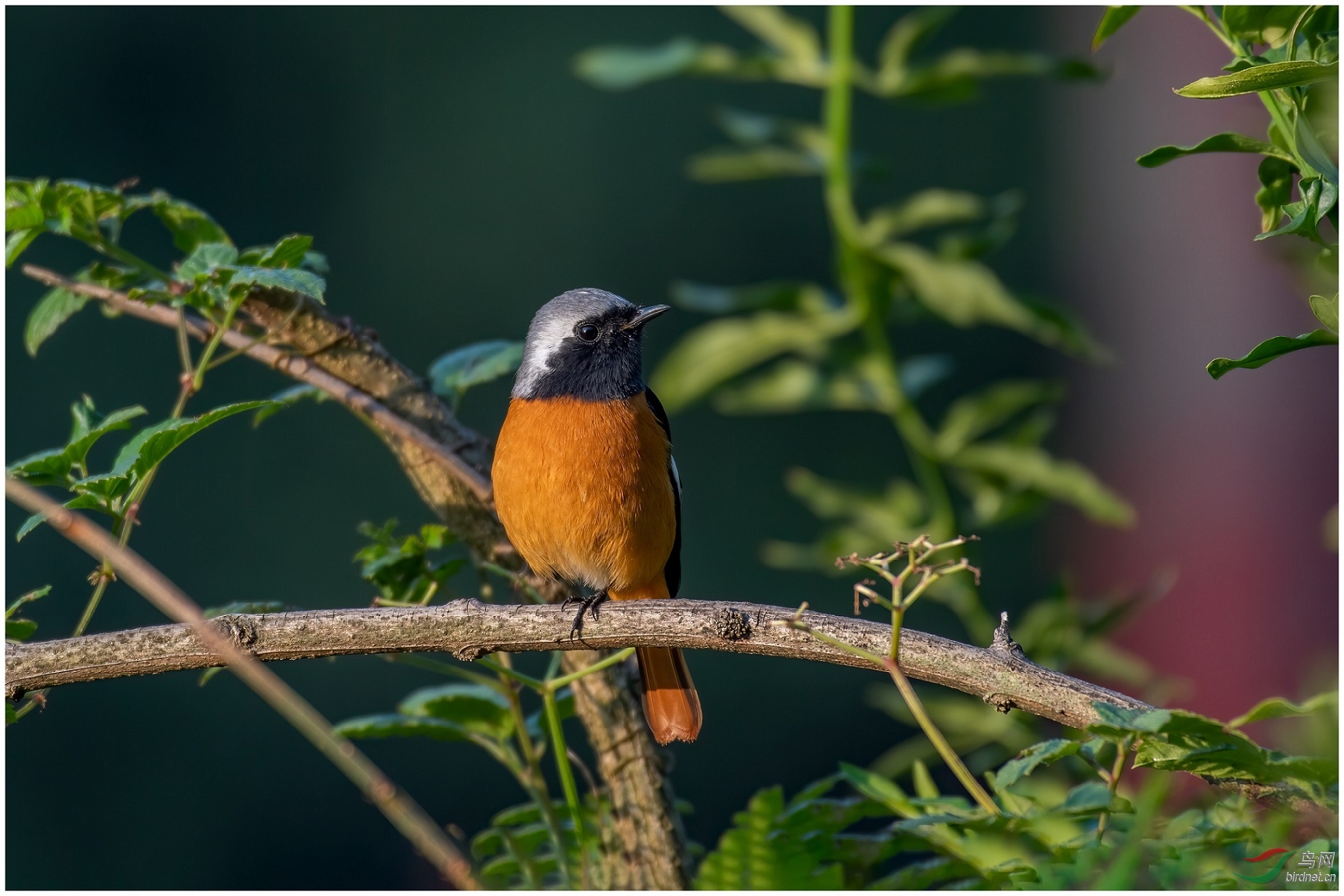 ����8.91��