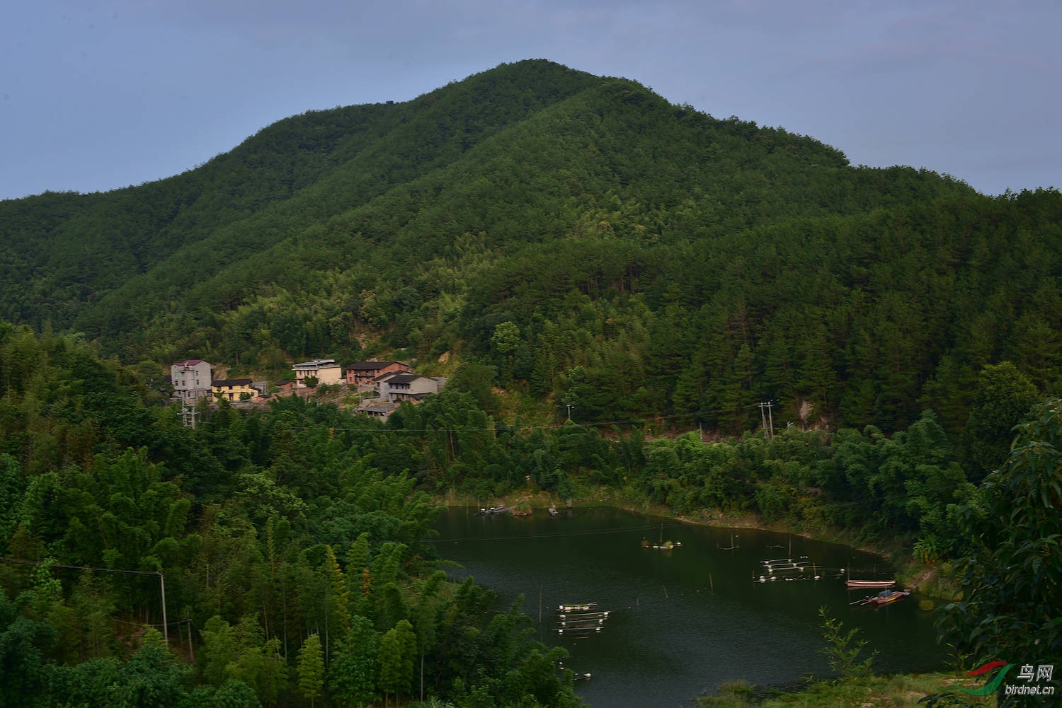 D8I_4983.jpg