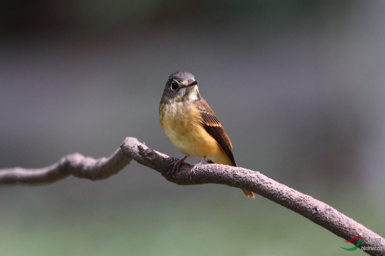 IMG_6762.JPG