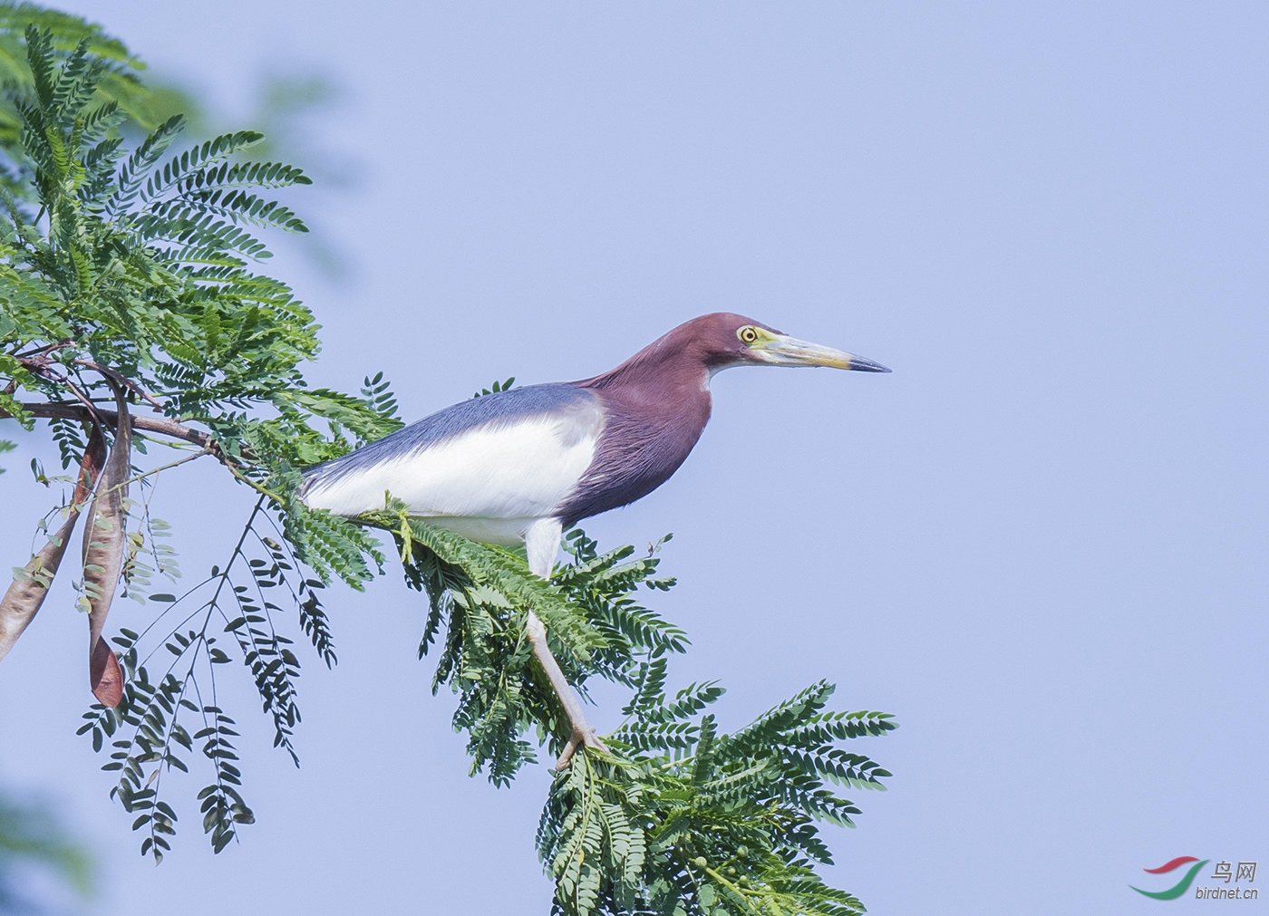 DSC_7146.jpg