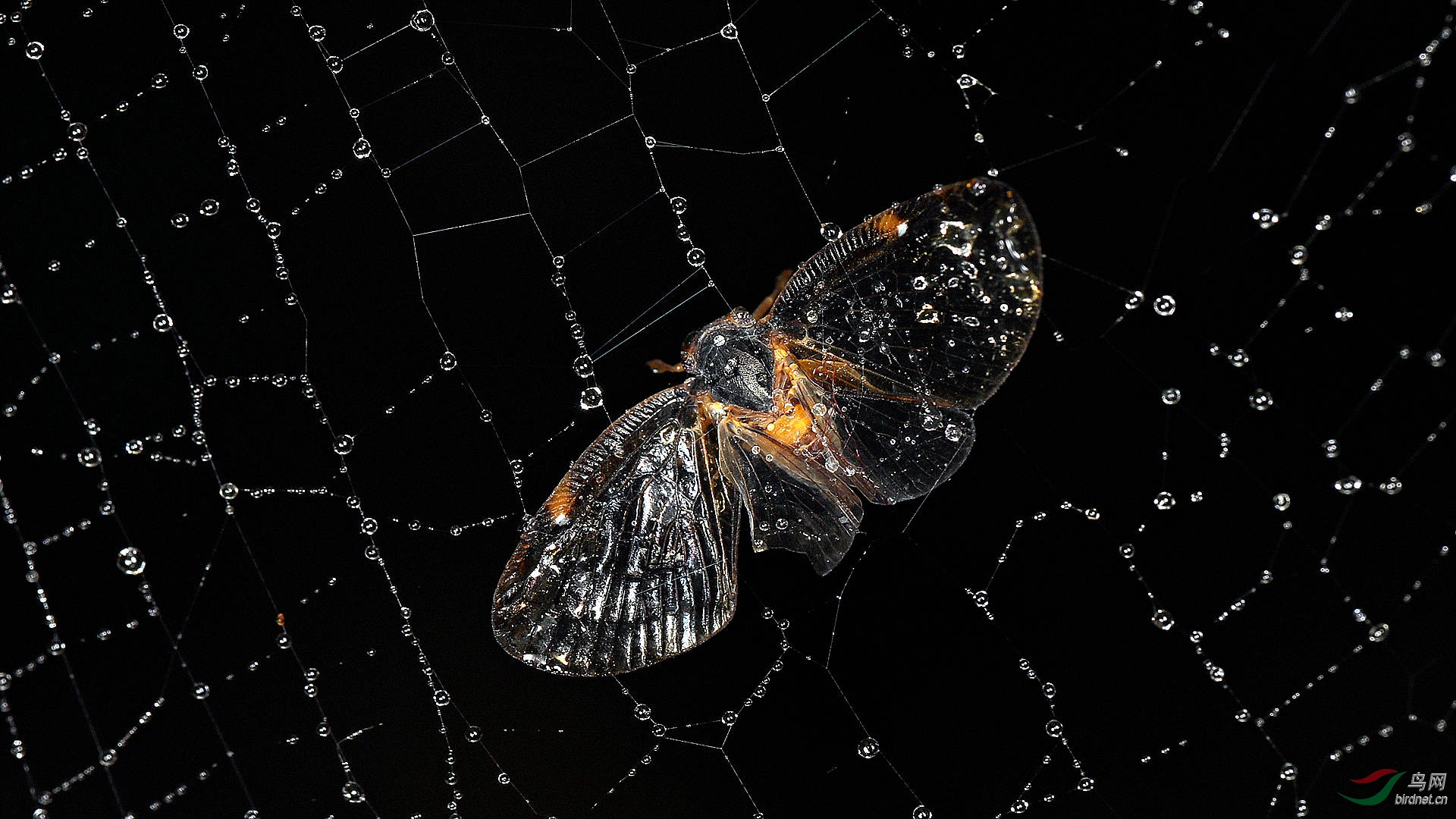 EC6A9179_����.jpg