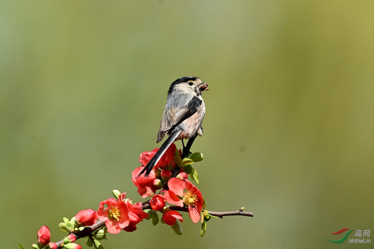 DSC_9151.JPG