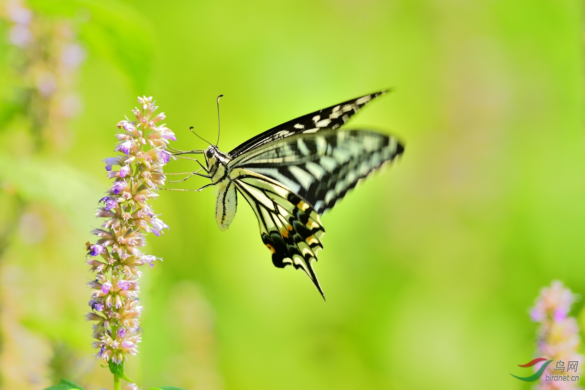 DSC_3761.JPG